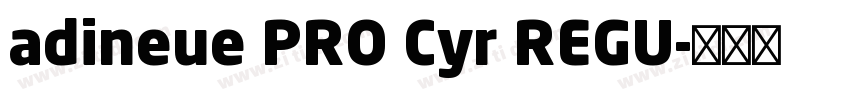 adineue PRO Cyr REGU字体转换